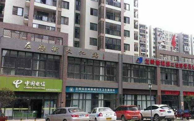 金特萊華中地區案例：武漢市左嶺新城